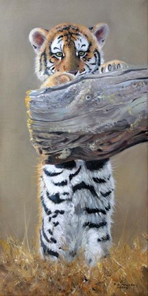 Framed Tiger Cub Standing Up Print