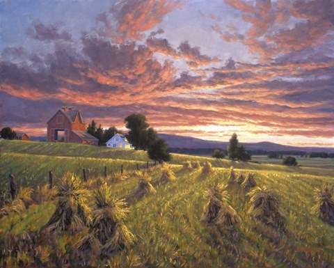 Framed Harvest Sunset Print