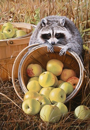 Framed Apple Harvest Print