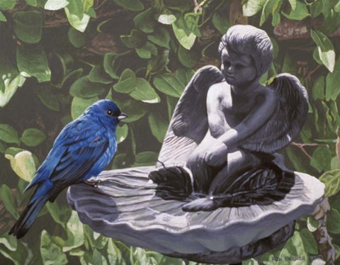 Framed Water Dish Print