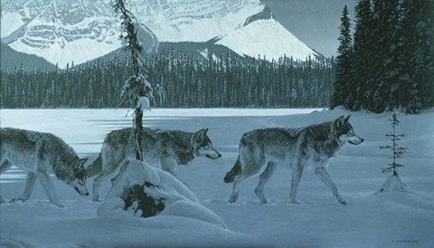 Framed Moon Lit Lake Print