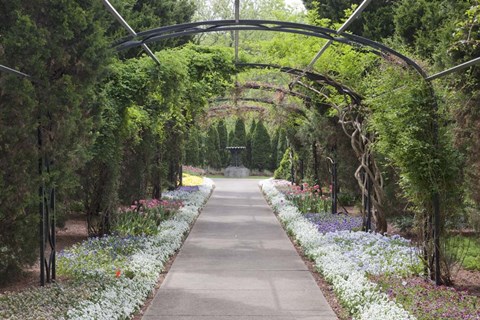 Framed Archway &amp; Path, Nasville, Tennessee 10 Print