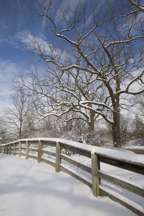 Framed Fence in the Snow #2, Farmington Hills, Michigan 09 Print