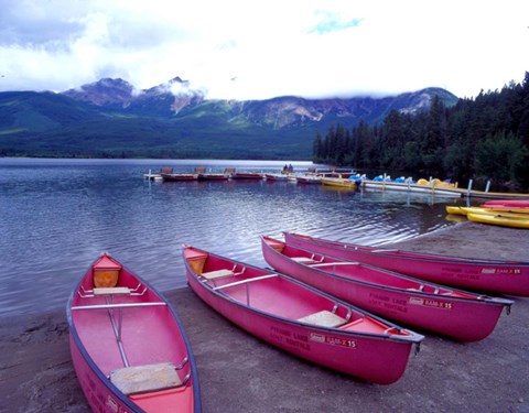 Framed Four Pink Boats, Canadian Rockies 06 Print