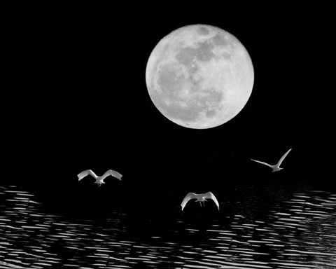 Framed Moon Flight, Delray Beach, Florida 10 Print