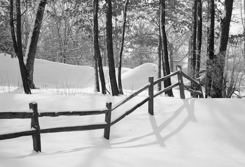 Framed Snow Scenes 24 Print