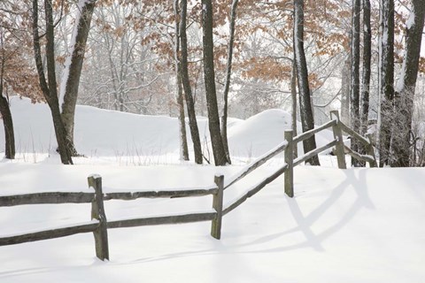 Framed Winter Fence &amp; Shadow, Farmington Hills, Michigan 09 Print