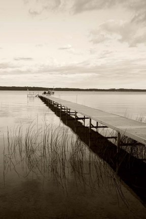 Framed On the Lake 1 Print