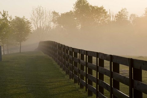 Framed Morning Mist &amp; Fence, Kentucky 08 Print