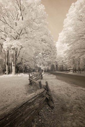 Framed Snowy Landscape Print