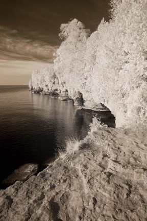 Framed On the Water's Edge Print