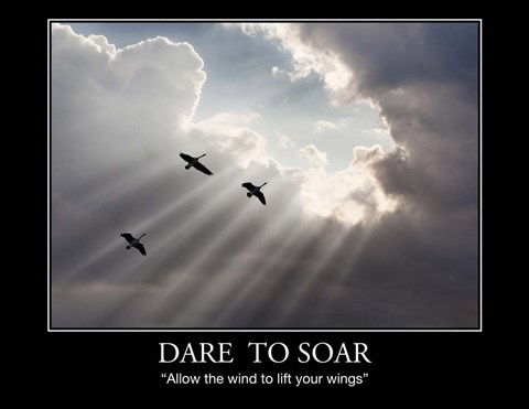 Framed Flying on Sunbeams Print