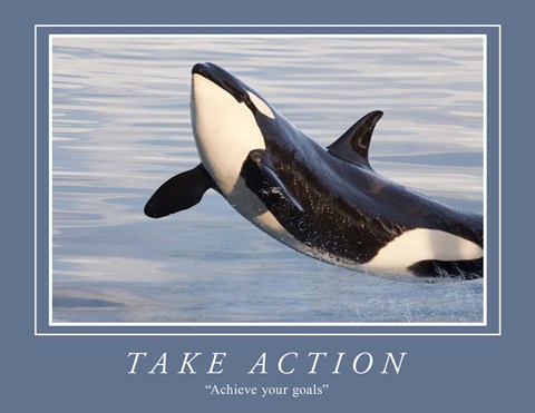 Framed Take Action Motivational Print