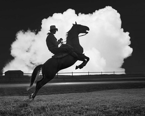 Framed Cowboy &amp; Horse Print