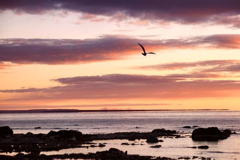 Framed Flying At Sunrise, Sault St. Marie, Michigan 12 Print