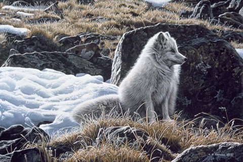 Framed Northern Morning Print