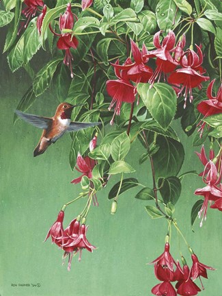 Framed Hanging Basket Print