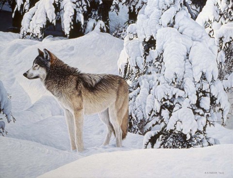Framed Winter&#39;s Blanket Print