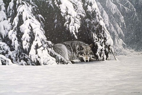 Framed Waiting Out The Storm Print