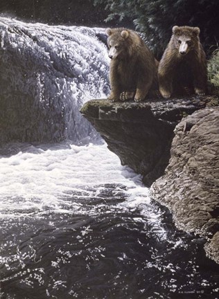 Framed Fishing Hole Print