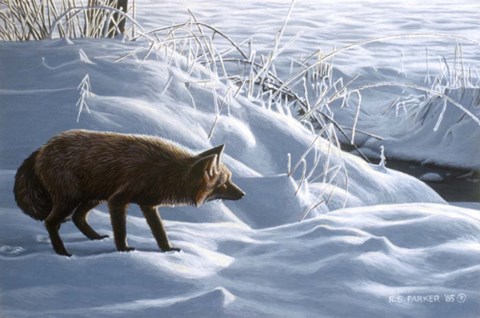 Framed Winter Stalk Print