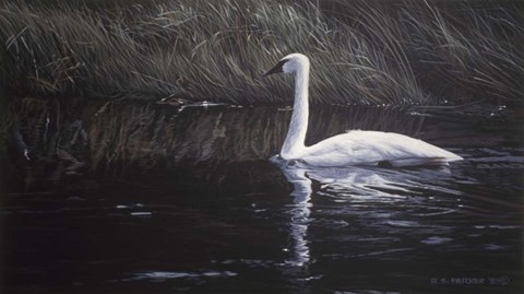 Framed Summer River Print