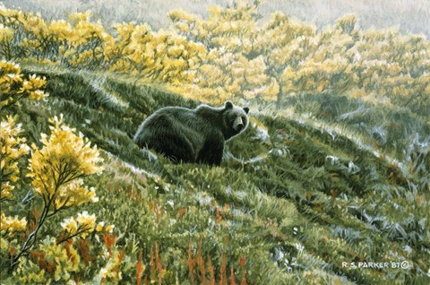 Framed Grizzly In The Blueberries Print