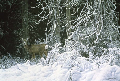 Framed Snow Palace - Mule Deer Print
