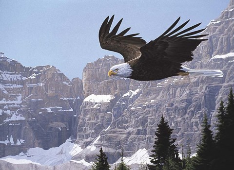 Framed Paradise Valley Print