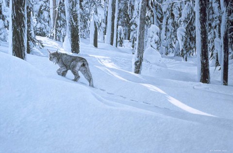 Framed Northern Winter Print