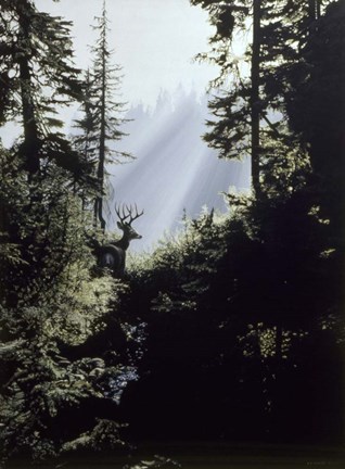 Framed Edge Of The Forest Print