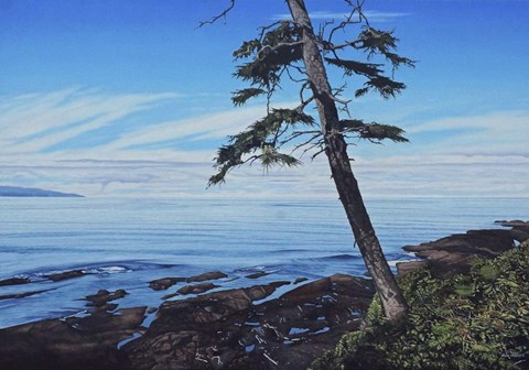 Framed Pacific Shore Print