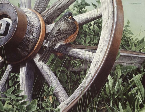 Framed Fat And Sassy - Robin Print