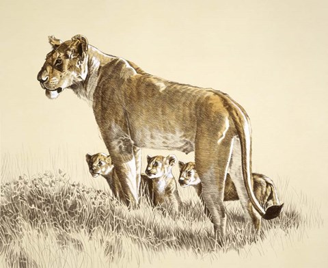 Framed Lioness And Cubs Print
