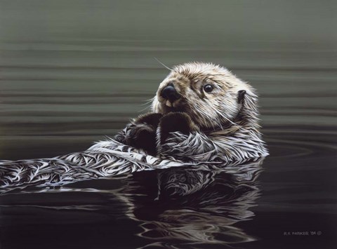 Framed Just Resting - Sea Otter Print