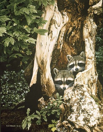 Framed Raccoon Pair Print
