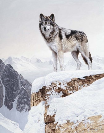 Framed Snow Bound Print