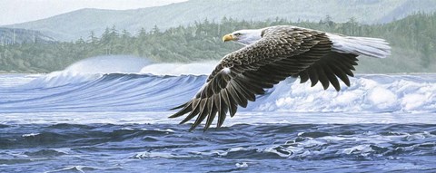 Framed Wind On The Waves Print