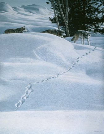 Framed Winter Tracking Print