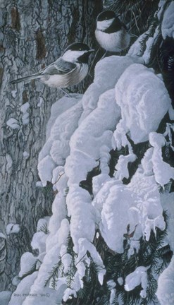 Framed Chickadees In Snow Print