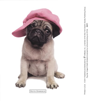 Framed Pug Hat Print