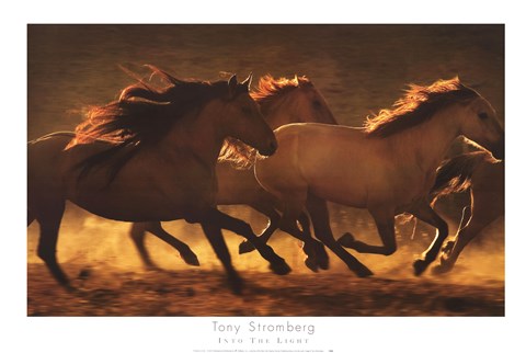 Framed Into The Light Print