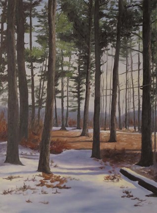 Framed Proud Lake Rec Print