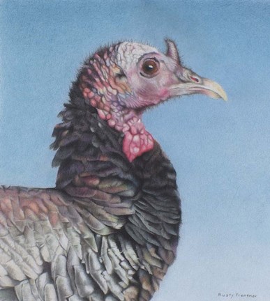 Framed Rainbow Bird Print