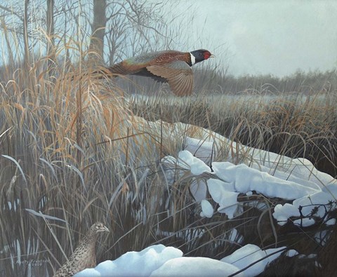 Framed Cruisin? Print