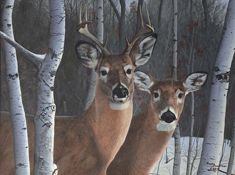 Framed Deer Magic Print