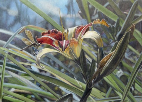 Framed Magic Light Print