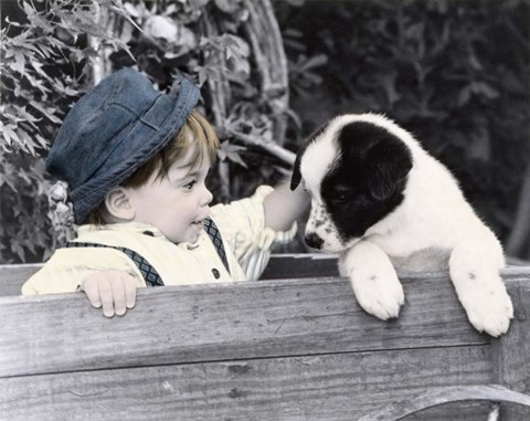 Framed Freckles Print