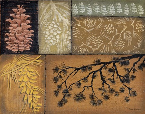 Framed Pine Cones 2 Print