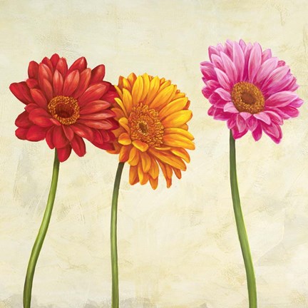 Framed Gerberas (Detail) Print